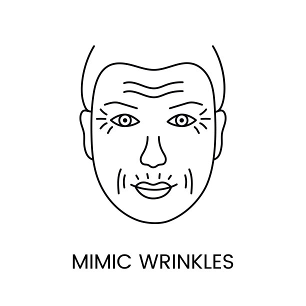 表情皱纹线图标在矢量，说明一个人的年龄变化在他的脸上图片下载