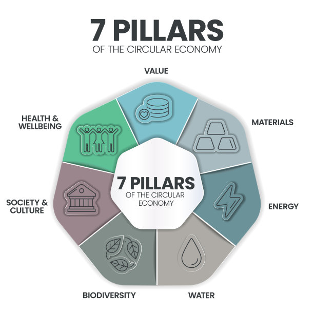 7 .循环经济支柱信息图表展示横幅模板有价值、水、社会、文化、材料、生物多样性、能源、健康、福祉。生态和环境概念。图片下载