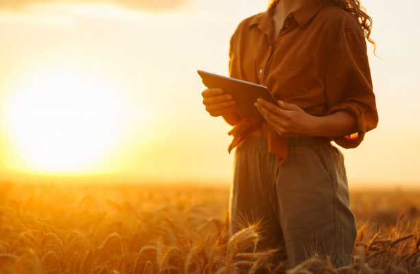 一位农妇拿着药片检查麦田的生长情况。图片下载