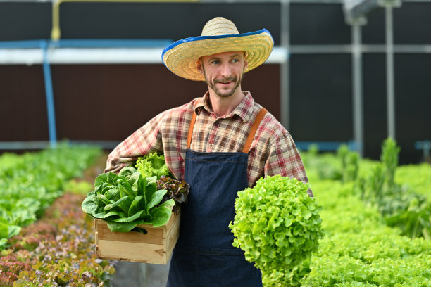 成功的农民肖像站在水培温室与新鲜的有机蔬菜收获期间。图片下载