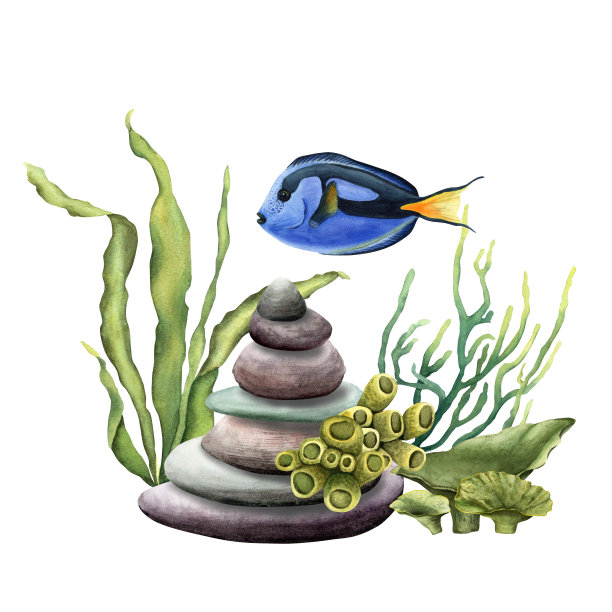 由一堆鹅卵石、珊瑚和鱼组成。水彩插图孤立在白色的剪贴画，卡片图片下载