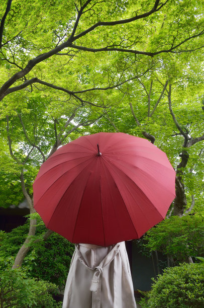 拿着红色雨伞的女人图片下载