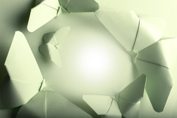 绿纸蝴蝶图片下载