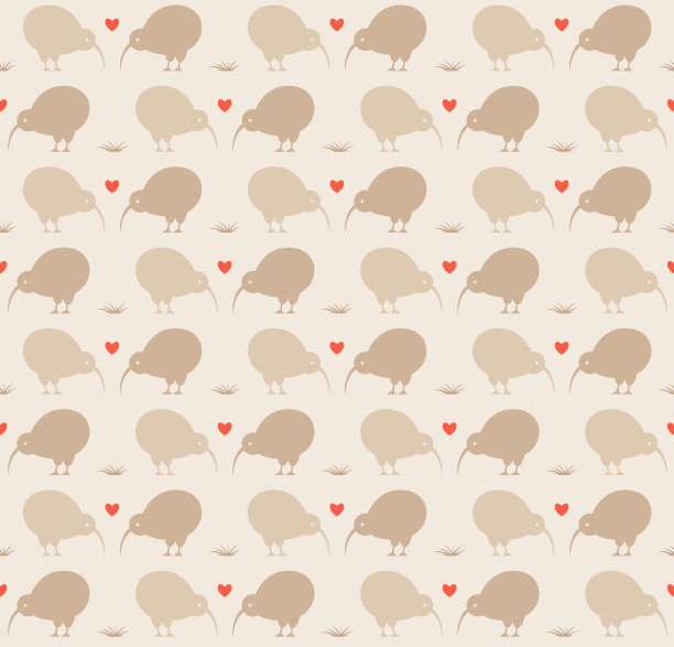 可爱的几维鸟图片下载