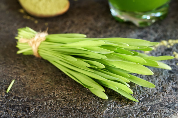 新鲜的青稞草叶图片下载