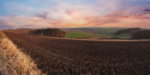 春天的早晨，乡村的景色，山上犁过的农田，山谷里的树木和树林。耕地和生长农田。图片下载