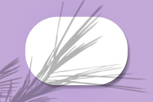 粉红色墙壁背景上的一张水平椭圆形白纸。模拟覆盖与植物的阴影。自然光在棕榈枝上投下阴影。平躺，俯视图。水平图片下载