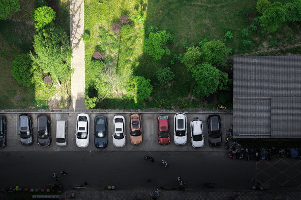 俯视下的树木图片下载