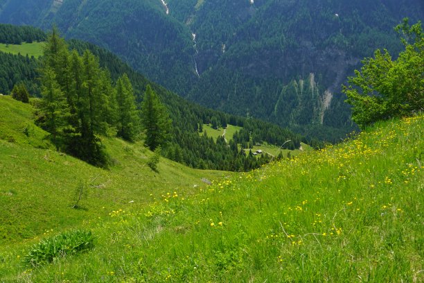 The Grossglockner High Alpine Road (in German Großglockner Hochalpenstraße) is the highest surfaced mountain pass road in Austria.图片下载