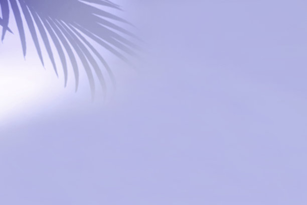 最小的抽象背景与热带棕榈叶模糊的阴影。化妆品展示。溢价讲台。淡紫色的空墙。陈列柜，陈列柜，前视图。现代模型图片下载