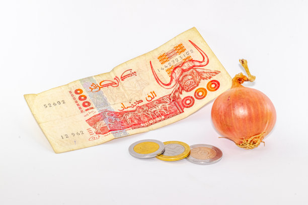 一个完整的洋葱和阿尔及利亚第纳尔纸币，白色背景上有银币。图片下载