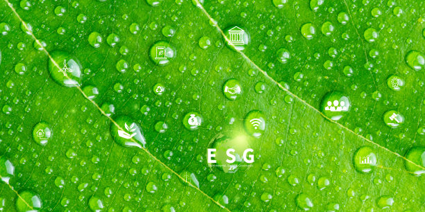 可持续发展的业务或绿色业务矢量插图背景与连接图标概念相关的环境友好的环境图标集。ESG的网页和社交标题横幅。图片下载