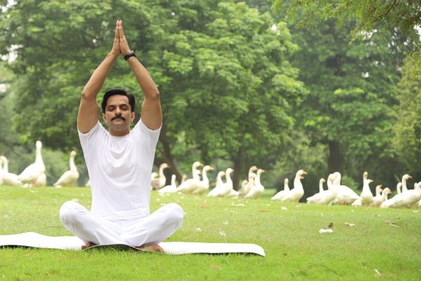 快乐的印度人在一个宁静的环境中做瑜伽，周围是郁郁葱葱的绿色宁静的氛围。图片下载