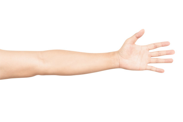 白色背景上的男人手臂上的血管，保健和医疗的概念图片下载