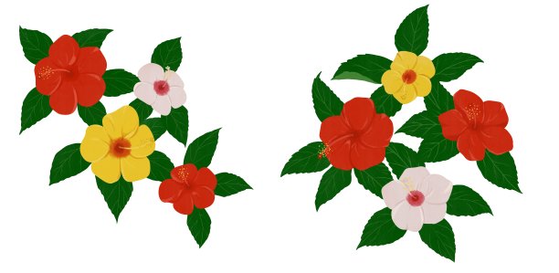 插图装饰材料为色彩艳丽的木槿。图片下载