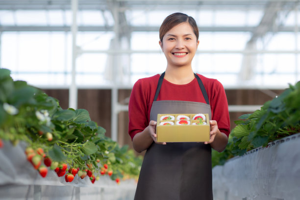 肖像美丽的年轻亚洲妇女在农场大棚拿着草莓箱，女性收获成熟的草莓在包装与快乐，农业和栽培，小生意的概念。图片下载
