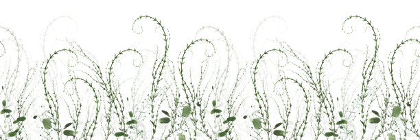 水彩画绿色无缝框架上的白色背景。绿色的野生植物，树枝，树叶和细枝。图片下载