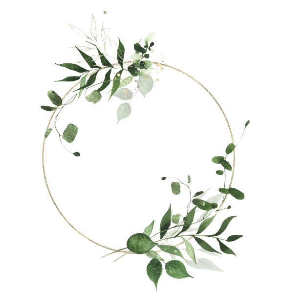水彩画绿色植物圆形金色框架在白色背景。绿色的野生植物，树枝，树叶和细枝。图片下载