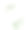 水彩画绿色植物圆形金色框架在白色背景。绿色的野生植物，树枝，树叶和细枝。图片下载