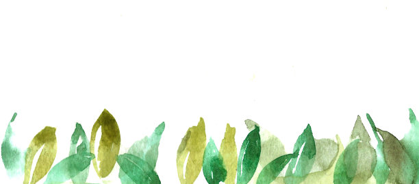 背景边界从年轻的绿叶。图片下载