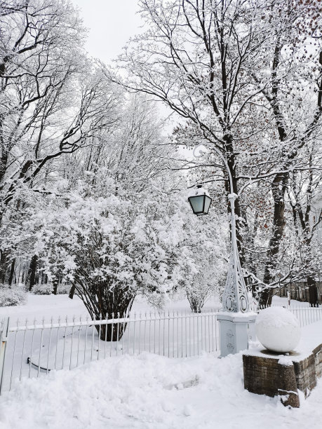 在圣彼得堡的一个城市公园里，一盏美丽的、伪造的路灯映衬着一棵被雪覆盖的树和云雾缭绕的天空。图片下载