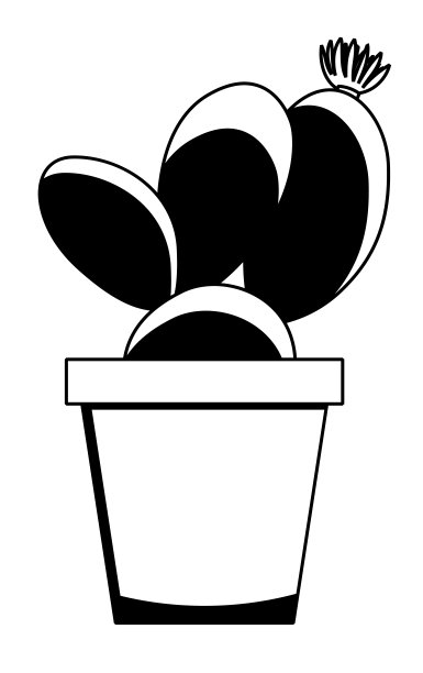 盆栽室内植物机会肉质线形花柱孤立在白色背景上图片下载