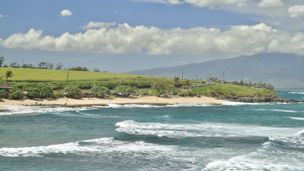 blue north pacific waves are contrasted against the green growing field grasses at ho'okipa beach park near pāʻia, on the island of maui.图片下载