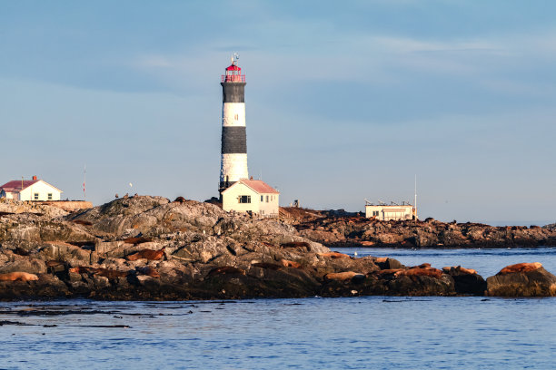 Race Rocks灯塔，温哥华岛图片下载