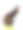 毛虫和咬叶动物行为。图片下载