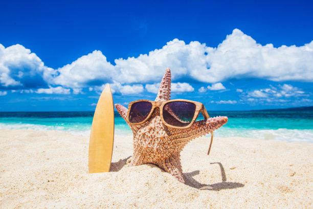 海滩上的海星冲浪者图片下载