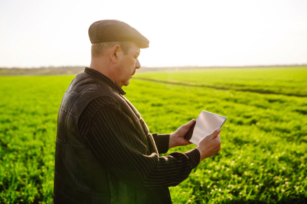 聪明的农场。农业、园艺或生态概念。图片下载
