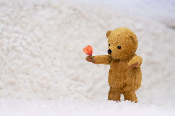 泰迪熊拿着花图片下载