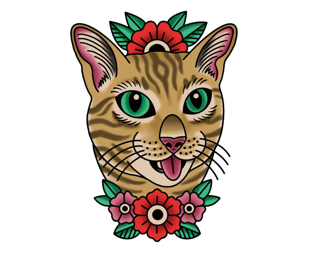 用花画宠物滑稽猫的肖像图片下载