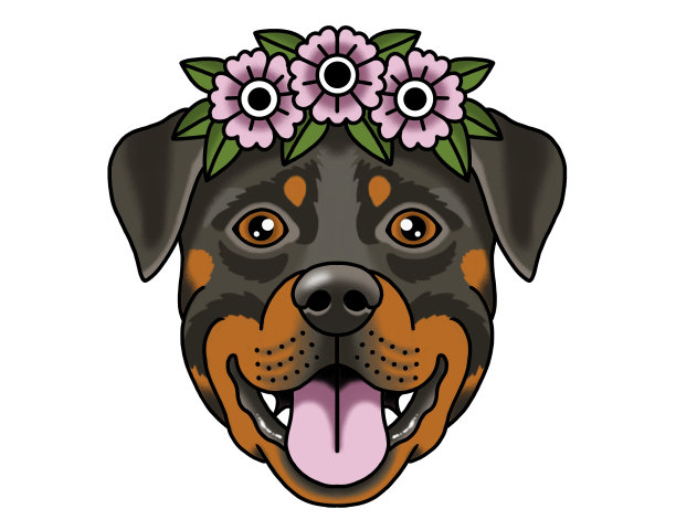 画宠物狗肖像快乐罗威纳犬图片下载