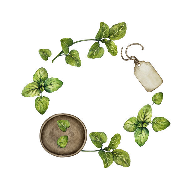 牛至花环图片下载