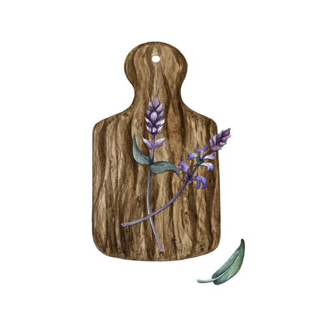 鼠尾草成分图片下载