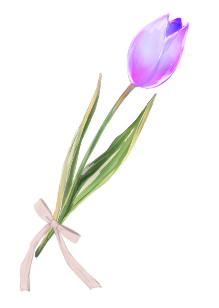 一朵带有丝带的郁金香的插图图片下载