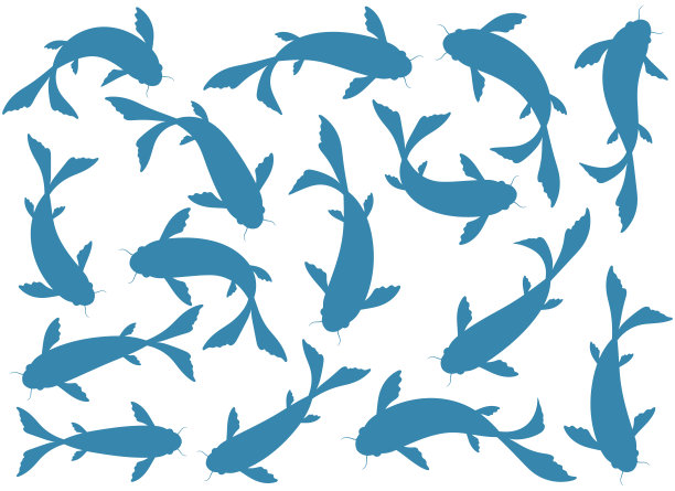 鱼矢量设计插图孤立的白色背景图片下载