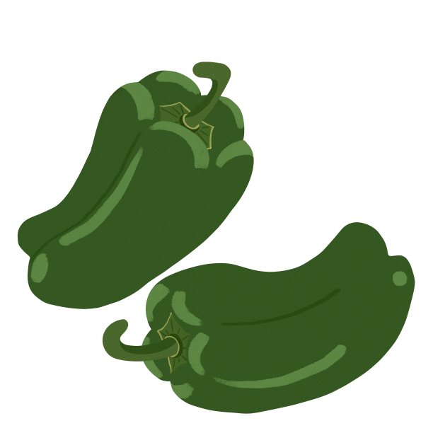 两个灯笼椒插图材料。图片下载