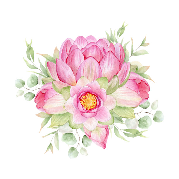 粉红色的荷花。水彩插图。用荷花构图。中国睡莲。设计为设计请柬、电影海报、面料等物品。图片下载