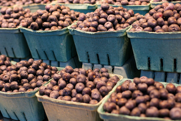 市场上的草莓、覆盆子和黑莓图片下载