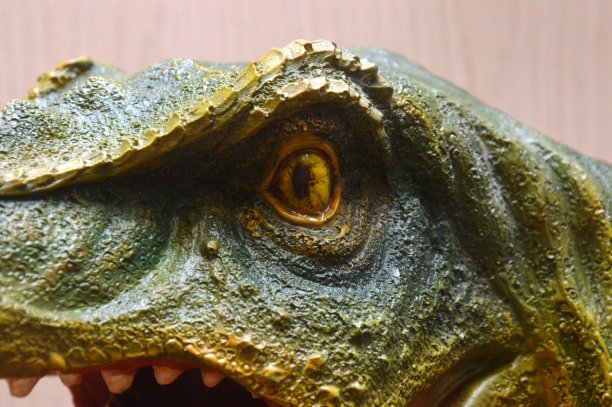 恐龙头模型图片下载