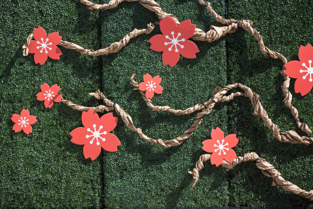 樱花以花枝为背景图片下载