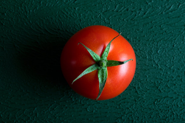 绿色背景上的一组葡萄番茄图片下载