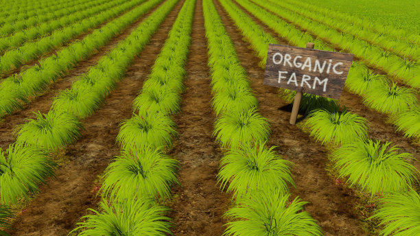 植物田在天然化学无有机农场图片下载