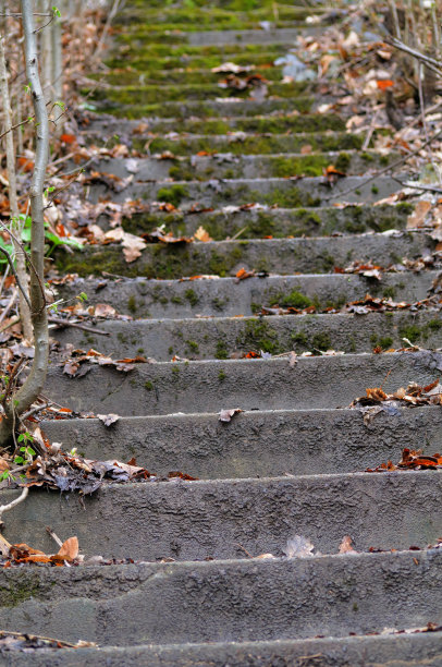 秋林里长满青苔和落叶的老石阶。图片下载