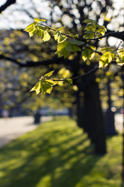 水彩画，抽象春景。图片下载