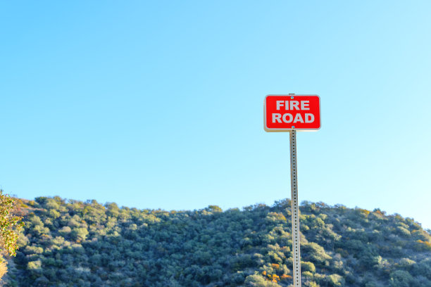 蓝天茂密的森林衬托下的消防路标图片下载