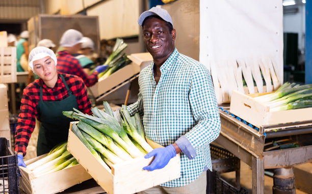 一个非裔美国农民拿着一箱韭菜的肖像图片下载