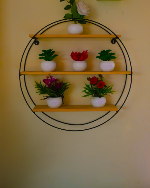 漂亮的挂在墙上的花瓶。图片下载